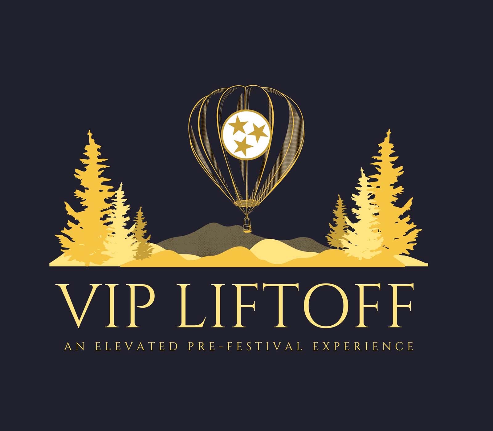 Hot Air Balloon VIP Experience